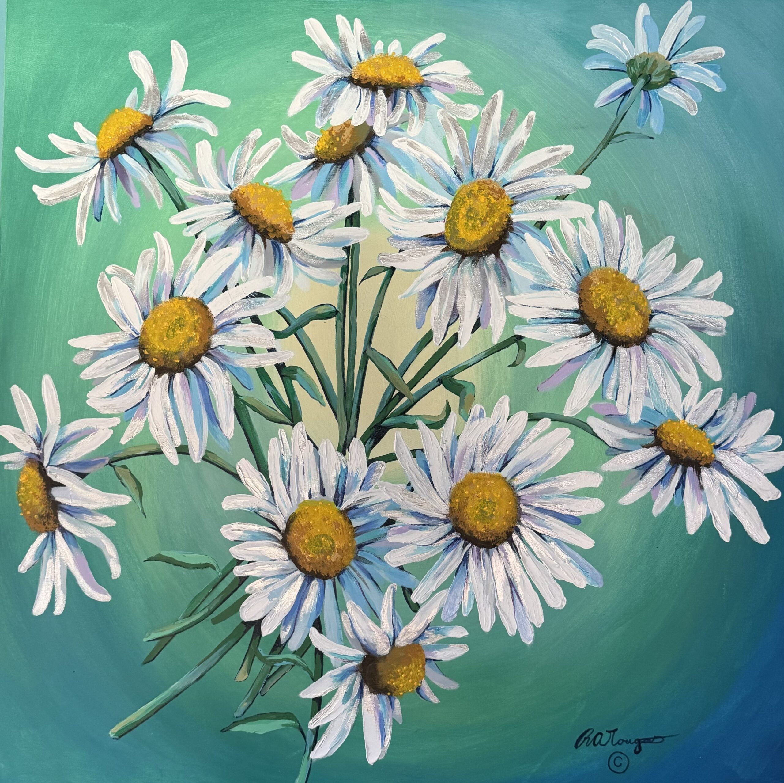 Shasta Daisies