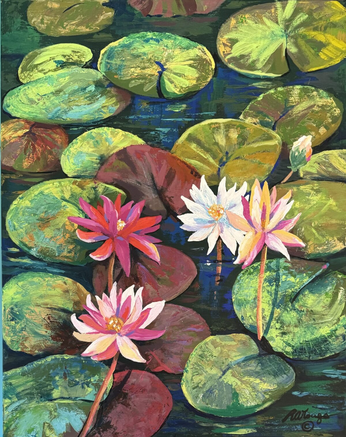 Water Lilies